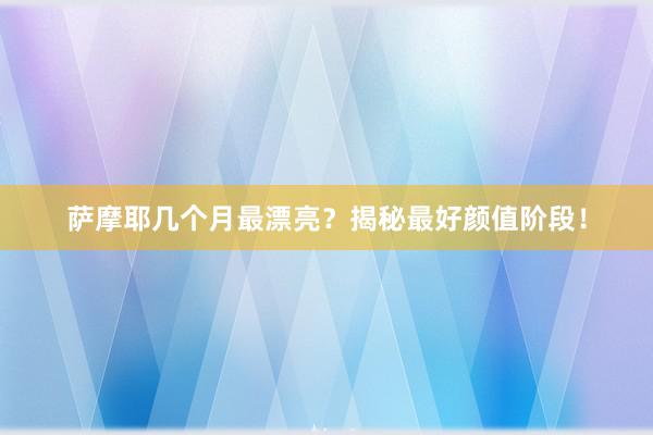 萨摩耶几个月最漂亮？揭秘最好颜值阶段！
