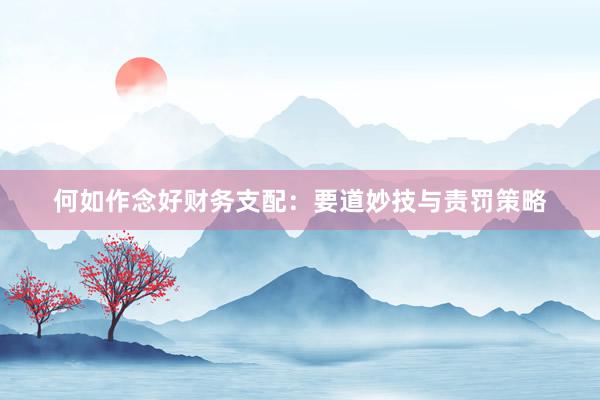 何如作念好财务支配：要道妙技与责罚策略
