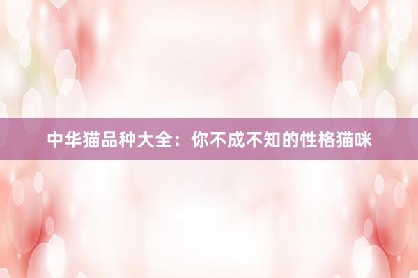 中华猫品种大全：你不成不知的性格猫咪